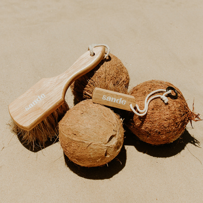 Sande Original Sand Removal Brush and Sande Mini Sand Brush resting on three rough husked coconuts on the sand.